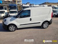 Fiat DOBLO doblo | Millenium Car