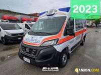 Fiat DUCATO DUCATO | Millenium Car