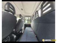 IVECO Daily V 35.14 2019 Daily V 35.14 2019 Daily V 35.14 2019 - daily 35 C14 D 3450 d.cab. E6d-temp | Altro Altro | AUTO INDUSTRIALE BERGAMASCA SPA