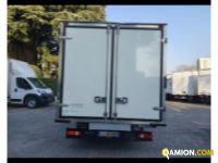 IVECO Daily V 35.16 2019 Daily V 35.16 2019 IVECO DAILY 35C16 ISOTERMICO  Altro | AUTO INDUSTRIALE BERGAMASCA SPA