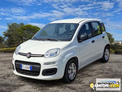 Fiat PANDA PANDA