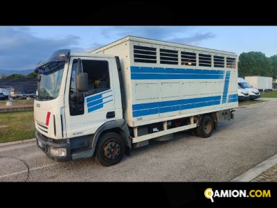 Iveco Mod. IVECO