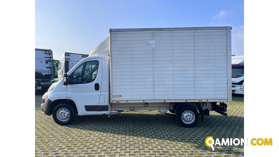 Fiat DUCATO DUCATO Altro | Iveco Orecchia