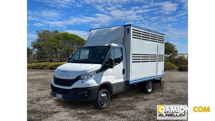 Iveco DAILY 35C14 DAILY 35C14 | Sollevamento e movimentazione Trasporto animali | Borgo Agnello S.p.A.