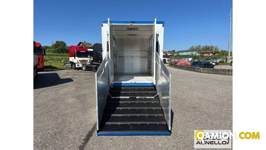 Iveco DAILY 35C14 DAILY 35C14 | Sollevamento e movimentazione Trasporto animali | Borgo Agnello S.p.A.