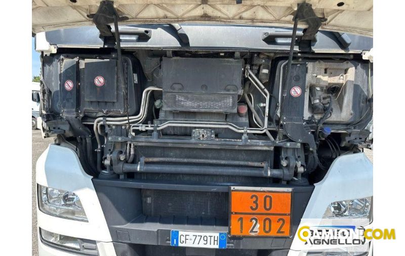 Man TGX 18.480 TGX 18.480 | Trattore Trattore | Borgo Agnello S.p.A.