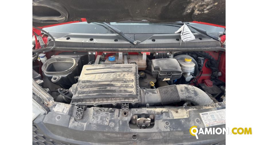 Iveco DAILY 35C13 DAILY 35C13 | PROCIDAMACCHINE S.R.L.