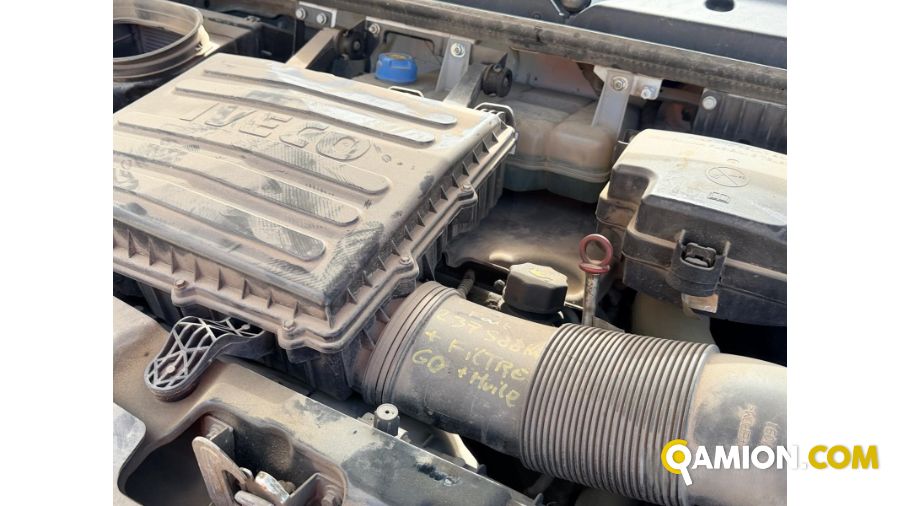 Iveco DAILY 35C15 DAILY 35C15 | PROCIDAMACCHINE S.R.L.