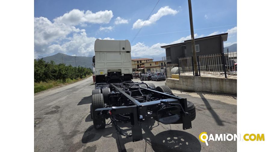Daf XF xf440 | PROCIDAMACCHINE S.R.L.