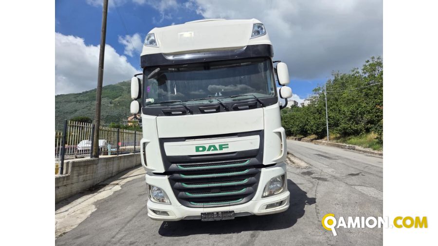 Daf XF xf440 | PROCIDAMACCHINE S.R.L.