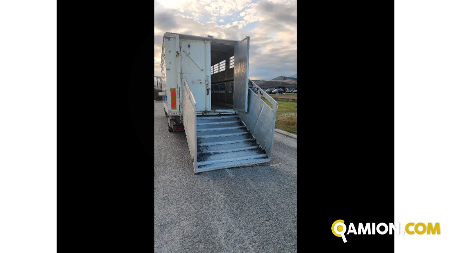 Iveco Mod. IVECO Vers. IVECO | Leggero Cabinato > 35 q.li Trasporto animali | INDUSTRIAL CARS S.P.A
