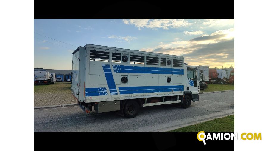 Iveco Mod. IVECO Vers. IVECO | Leggero Cabinato > 35 q.li Trasporto animali | INDUSTRIAL CARS S.P.A