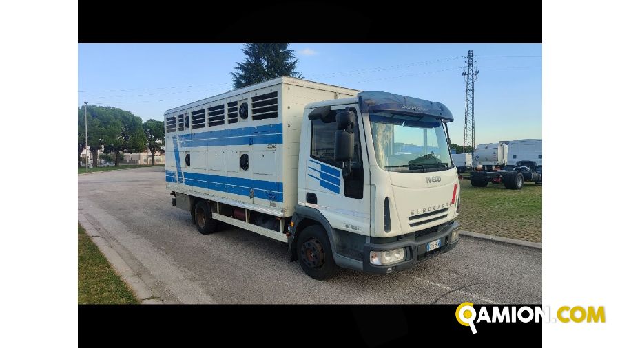 Iveco Mod. IVECO Vers. IVECO | Leggero Cabinato > 35 q.li Trasporto animali | INDUSTRIAL CARS S.P.A