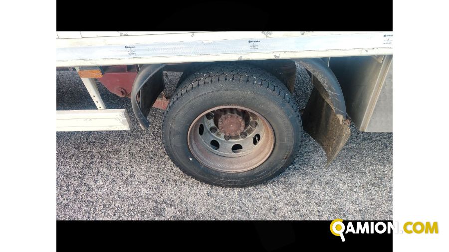 Iveco Mod. IVECO Vers. IVECO | Leggero Cabinato > 35 q.li Trasporto animali | INDUSTRIAL CARS S.P.A