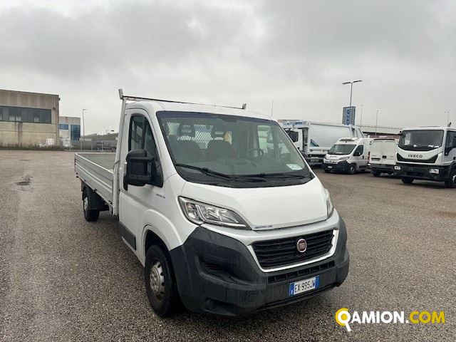 Fiat Mod. FIAT Vers. FIAT | Leggero Cabinato <= 35 q.li Cassone fisso | INDUSTRIAL CARS S.P.A