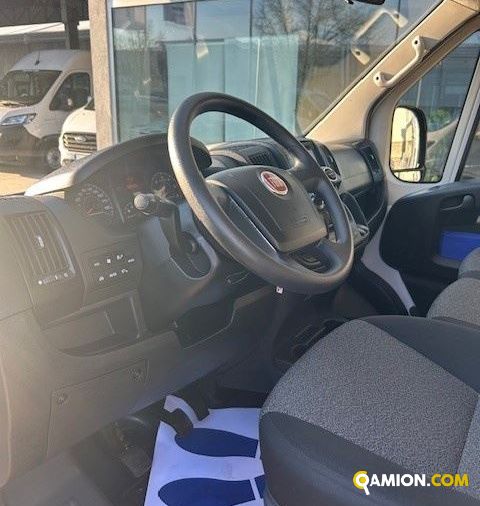 Fiat Mod. FIAT Vers. FIAT | Automobile Altro | INDUSTRIAL CARS S.P.A