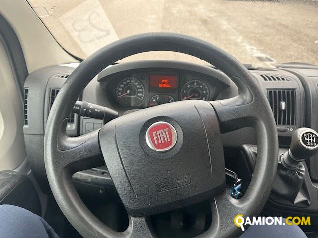 Fiat Mod. FIAT Vers. FIAT | Leggero Cabinato <= 35 q.li Cassone fisso | INDUSTRIAL CARS S.P.A