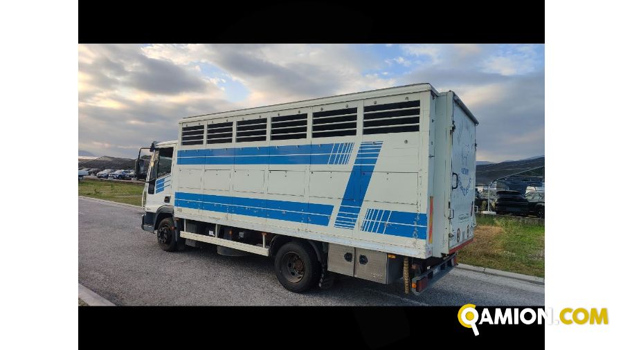 Iveco Mod. IVECO Vers. IVECO | Leggero Cabinato > 35 q.li Trasporto animali | INDUSTRIAL CARS S.P.A