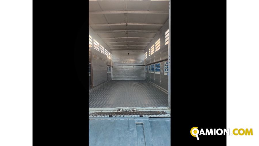 Iveco Mod. IVECO Vers. IVECO | Leggero Cabinato > 35 q.li Trasporto animali | INDUSTRIAL CARS S.P.A