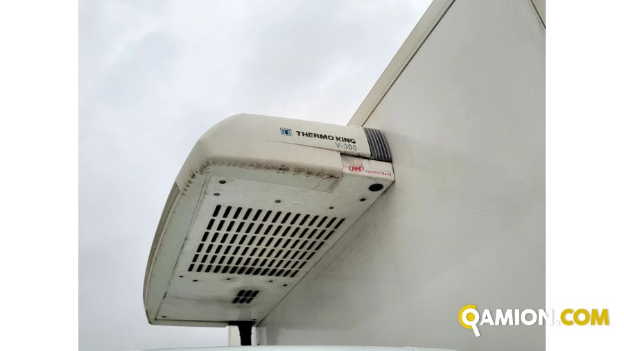 Iveco DAILY 50C15 DAILY 50C15 | Altro Altro | Iveco Orecchia