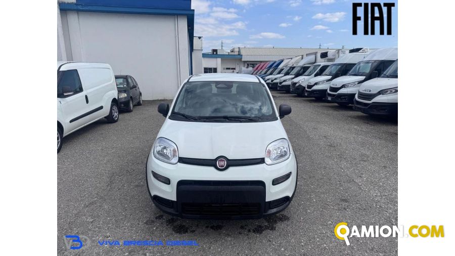 Fiat PANDA 1.0 FireFly S&S Hybrid | Altro Altro | VIVA BRESCIA DIESEL SPA