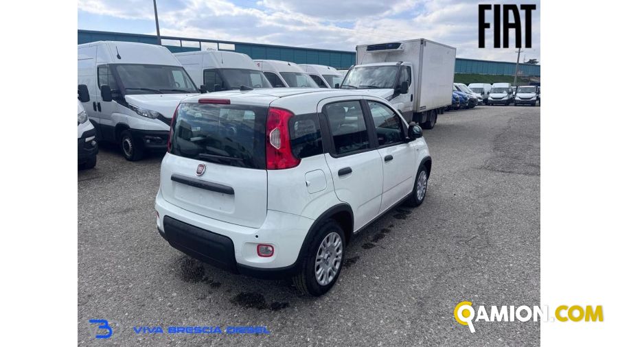 Fiat PANDA 1.0 FireFly S&S Hybrid | Altro Altro | VIVA BRESCIA DIESEL SPA