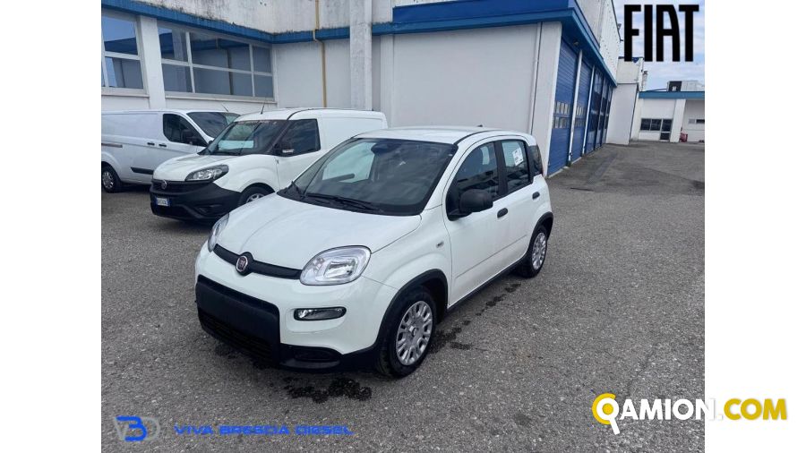 Fiat PANDA 1.0 FireFly S&S Hybrid | Altro Altro | VIVA BRESCIA DIESEL SPA