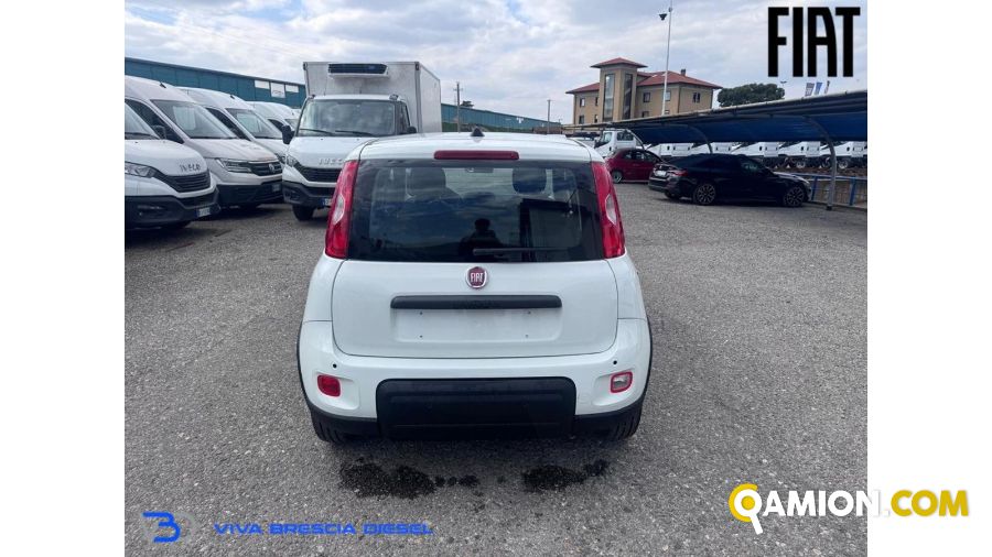 Fiat PANDA 1.0 FireFly S&S Hybrid | Altro Altro | VIVA BRESCIA DIESEL SPA