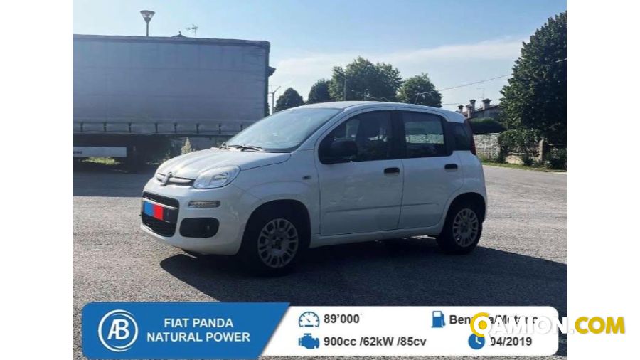 Fiat PANDA panda | BEDIN ALBERTO