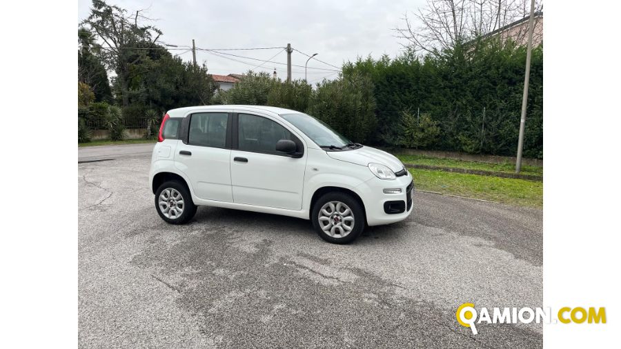 Fiat PANDA panda | BEDIN ALBERTO