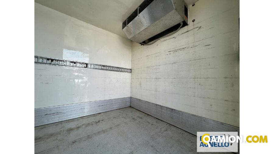 Iveco DAILY 70C17 DAILY 70C17 | Motrice Isotermico / coibentato | Borgo Agnello S.p.A.