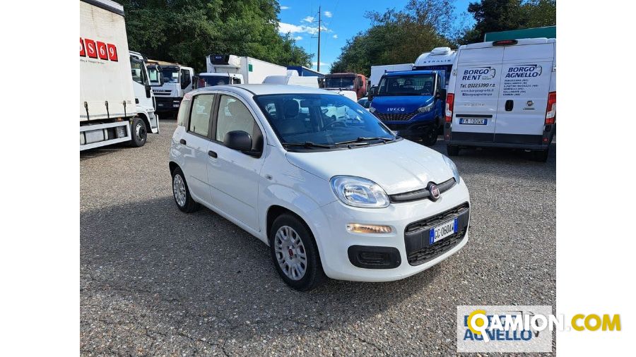 Fiat PANDA PANDA | Automobile Automobile | Borgo Agnello S.p.A.