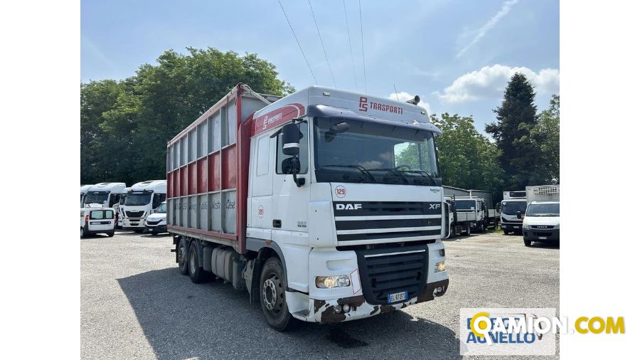 Daf XF 105 460 XF 105 460 | Motrice Scarrabile con gancio | Borgo Agnello S.p.A.