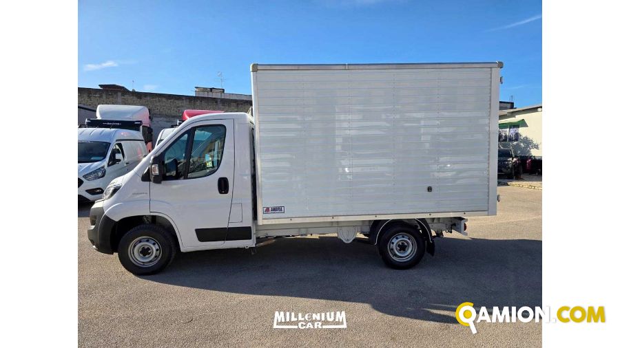 Fiat DUCATO ducato | Millenium Car