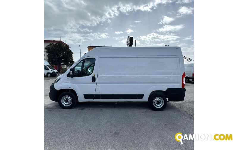 Fiat DUCATO ducato