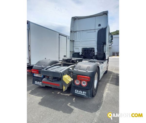DAF** XF 530 | Altro Trattore | Luigi Bacchi IVECO