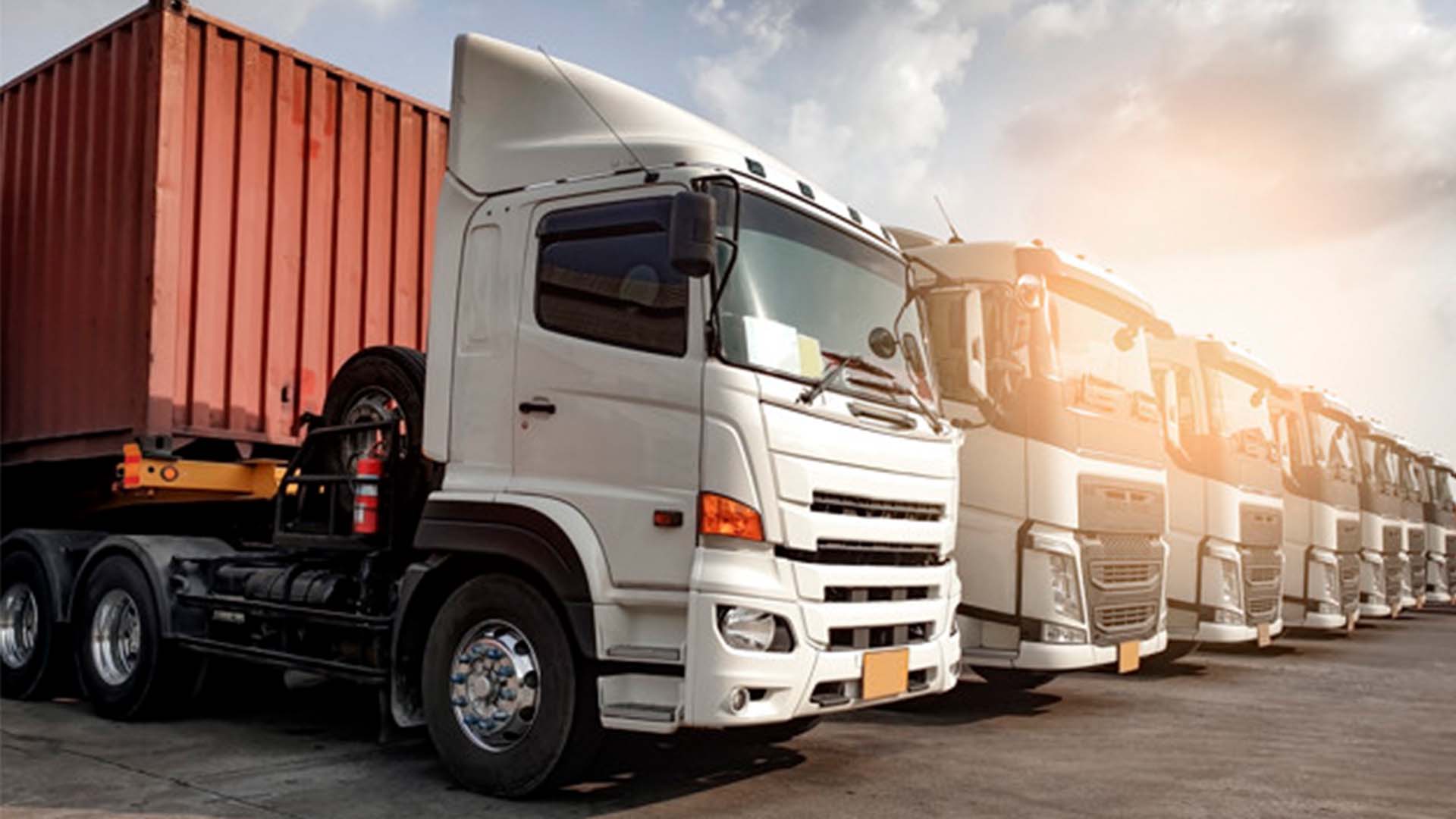 immagine Vehicle ads for Jcb brand  - Qamion.com